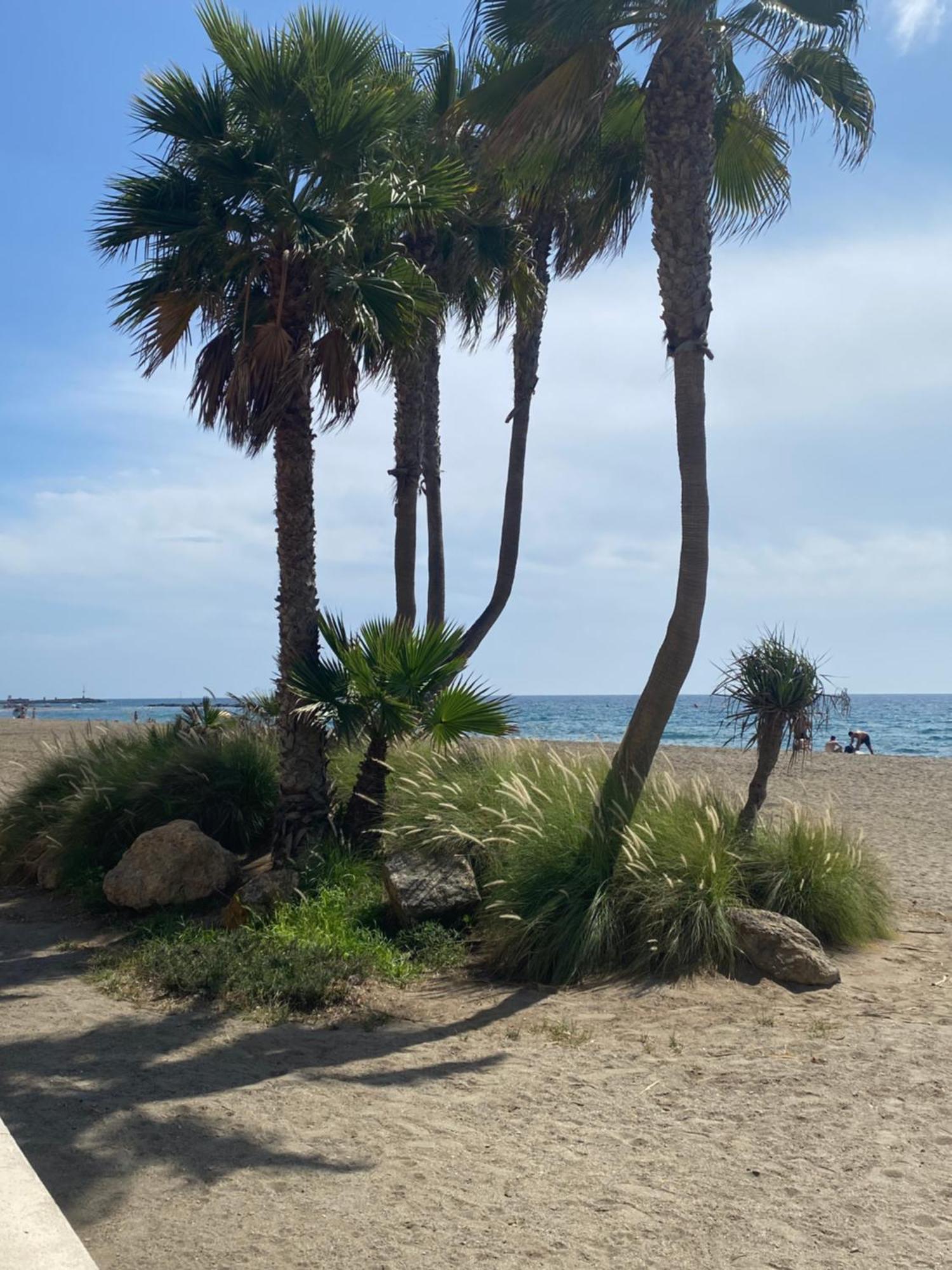 Almeria Playa Zapillo Eksteriør billede